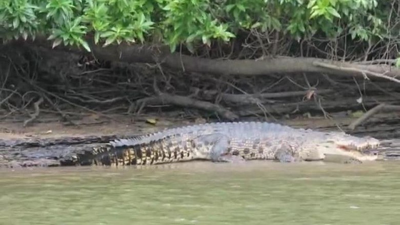 Muara Sebuhur Muara dan sungai di Kabupaten Tanah Laut.