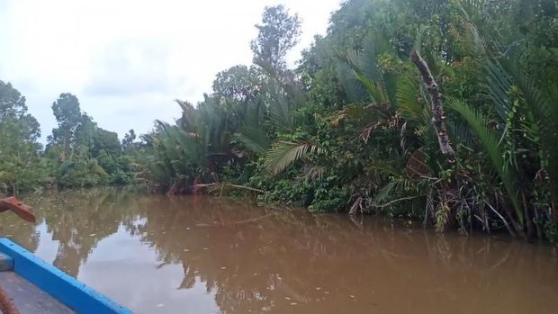 Muara dan sungai di Kabupaten Tanah Laut.
