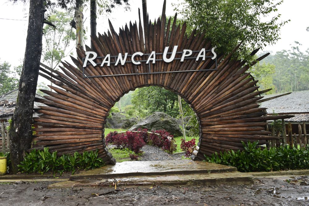 Ranca Upas
