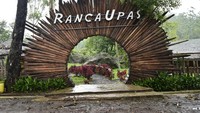 Ranca Upas adalah salah satu bumi perkemahan di Bandung. Kawasan ini menyughkan pemandangan yang asri dengan masih banyak pepohonan dan dikelilingi area perbukitan yang indah. (Shutterstock)