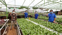 Penggunaan solusi berbasis IoT ini terbukti berhasil mampu meningkatkan produktivitas petani hingga lebih dari dua kali lipat. Pengembangan layanan inovatif berbasis IoT ini merupakan bagian dari transformasi digital yang sedang XL Axiata jalankan. Foto: dok. XL Axiata
