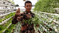Ini adalah salah satu dari sekian IoT yang dikembangkan dan dapat membantu masyarakat. Selain itu ditujukan untuk melayani pelaku industri pertanian, termasuk urban farming. Foto: dok. XL Axiata