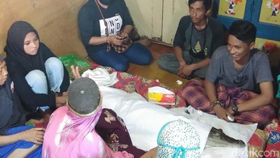 Ini Buaya di Makassar Bikin Heboh yang Diyakini Kembaran Manusia