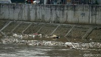 Sampah-sampah ini juga menimbulkan bau busuk yang menyengat hidung.