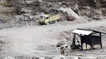 Penambang Pasir di Lereng Merapi Tetap Beraksi Disaat Siaga