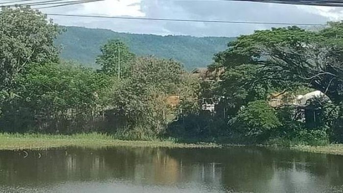 Nong Bua Lamphui