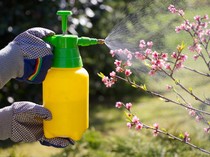 Kenali Jenis-jenis Pestisida, Fungsi, dan Contohnya