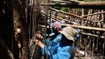 Begini Cara Pemprov Atasi Banjir Langganan di Green Garden Jakbar