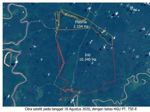 Korindo Group Bantah Sengaja Bakar Lahan di Papua untuk Perluasan Lahan Sawit