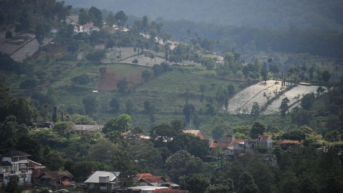 Suasana kawasan resapan Bandung Utara yang beralih fungsi menjadi lahan pertanian terlihat dari Punclut, Kabupaten Bandung Barat, Jawa Barat, Jumat (13/11/2020). Kementerian Lingkungan Hidup dan Kehutanan (KLHK) memperkirakan upaya pemulihan 14 juta hektare lahan kritis di Indonesia membutuhkan waktu hingga 60 tahun. ANTARA FOTO/Raisan Al Farisi/foc.