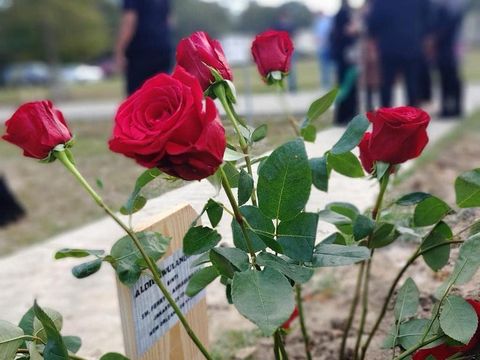 Makam Dylan Sada Makam Dylan Sada