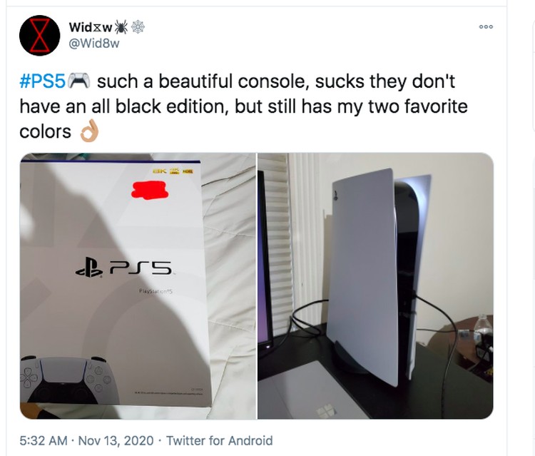 Netizen PS5