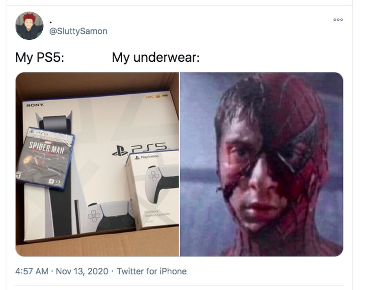 Netizen PS5
