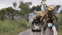 Suhu awan panas di sumbernya bisa berkisar 1.075 sampai 3.500 derajat Celcius, dengan suhu di area permukaan di sekitarnya sekitar 50-200 derajat Celcius. Kecepatan awan panas pun bisa mencapai 10-30 meter per detik untuk batuk kecil, dan 200 meter per detik untuk batuk besar. Getty Images/Dimas Ardian  