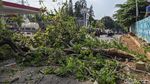 Pohon Tua Tumbang di Pesanggrahan Jaksel