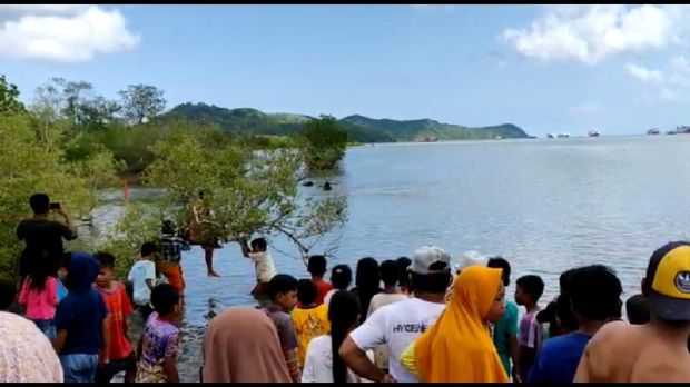Proses dramatis evakuasi hiu paus yang terdampar di Lombok Barat, NTB (dok Istimewa)