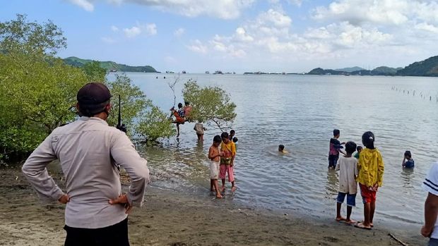 Proses dramatis evakuasi hiu paus yang terdampar di Lombok Barat, NTB (dok Istimewa)