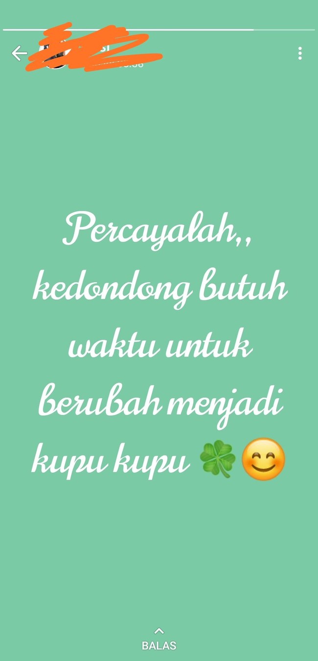 Mohon maaf tapi ada yang tahu nggak hubungannya kedondong sama kupu-kupu? Kepompong kali ah.. Foto: Twitter @txtdrstoryWA