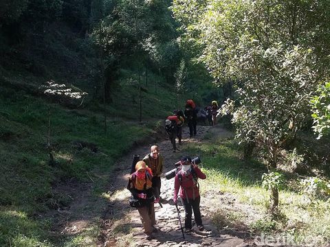 warga bojonegoro mendaki di gunung lawu