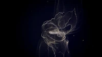 Hewan laut mirip alien