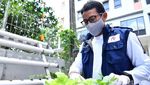 Kampung Budikdamber Rusun Pengadegan yang Tetap Hijau di Lahan Sempit