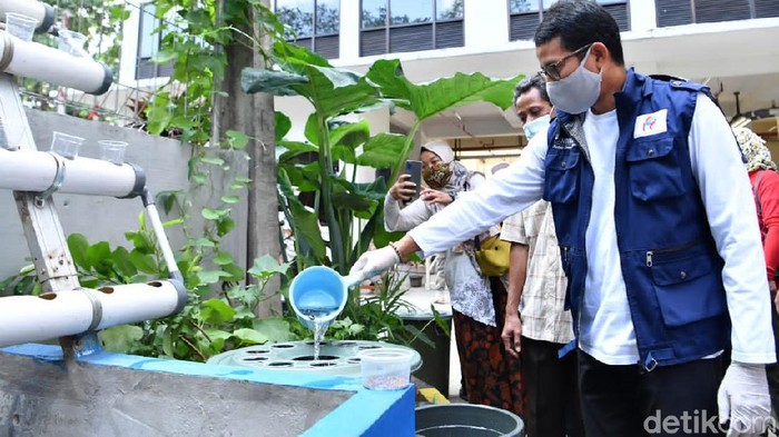 Kampung Budikdamber Rusun Pengadegan yang Tetap Hijau di Lahan Sempit Relawan Indonesia Bersatu mendukung Pemberdayaan Kampung Budikdamber ala Warga Rusun Pengadegan. Ketua Relawan Indonesia Bersatu Lawan COVID-19, Sandiaga Uno pun turun langsung meninjau ke lokasi.