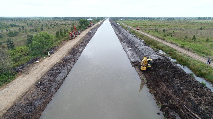 Proyek lumbung pangan (food estate) di Kalimantan Tengah