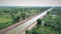 Pemerintah sedang menyiapkan program lumbung pangan atau food estate di luar Pulau Jawa. Salah satunya di Kalimantan Tengah. Foto: Dok. PT Wijaya Karya (Persero) Tbk