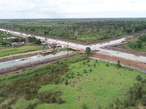 Penjelasan KLHK soal Hutan Lindung Bisa Diubah Jadi Food Estate