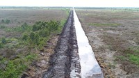 Sebagai tahap awal akan mulai dikerjakan food estate untuk tanaman padi seluas seluas 32.000 hektare pada Oktober 2020 yang terdiri dari 30.000 hektare di kawasan dengan kondisi sawah dan irigasi baik, serta 2.000 hektare di Kecamatan Dadahup.Foto: Dok. PT Wijaya Karya (Persero) Tbk