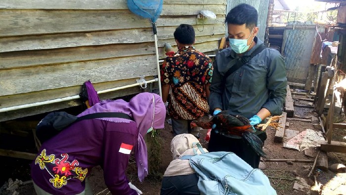 Puskeswan Kota Bontang lakukan sterilisasi dan rapid test ke ungas milik warga
