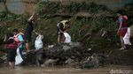 Relawan Kumpulkan 700 Kg Sampah di Sungai Ciliwung