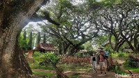 Dipilihnya nama Djawatan juga untuk menostalgia kepada masyarakat akan nilai sejarah tempat ini. Ketika buka di masa pandemi Corona, kunjungan di hari biasa mencapai 250-300 orang dan weekend 500-1000 orang.