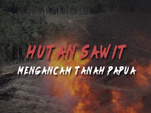 Hutan Sawit Mengancam Tanah Papua