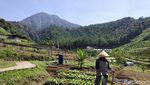 Potret Lembah Indah, Destinasi Baru dari Malang