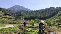 Sepanjang perjalanan, akan bisa menikmati suasana pedesaan dan perbukitan yang menyatu dengan Gunung Kawi. Destinasi ini terkenal dengan wisata religinya.