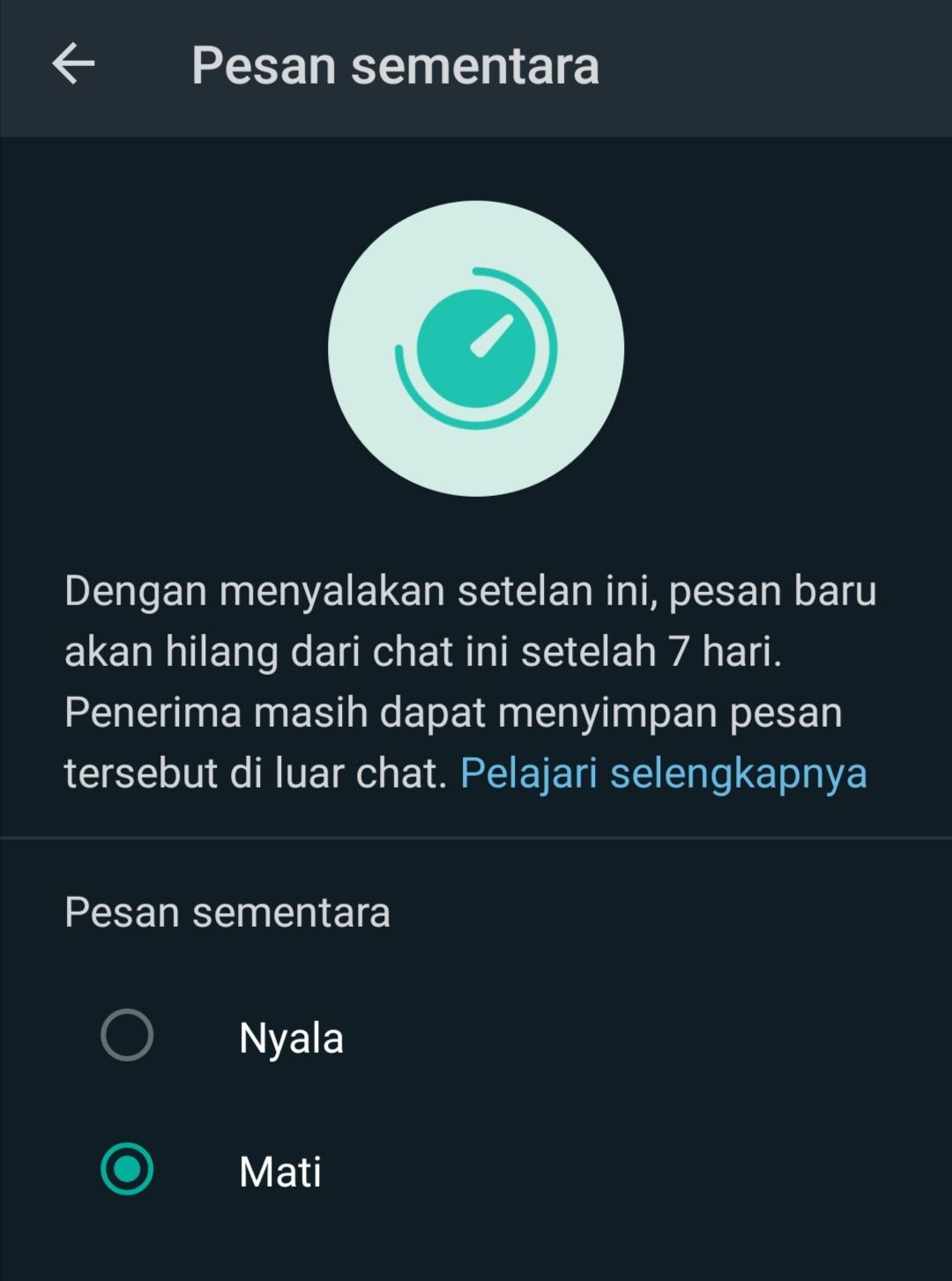 Pesan Sementara WhatsApp