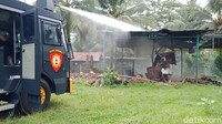 Diperkirakan ada jutaan bahkan miliaran semut.