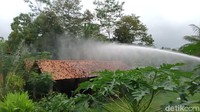 Selain melakukan penyemprotan pestisida kerumah rumah dan pohon milik warga, penyemprotan juga dilakukan menggunakan water Cannon sejumlah 6.000 liter di lokasi gergajian kayu. Sisa kayu yang menjadi tempat berkembang biak semut tersebut terbawa dari Lampung.