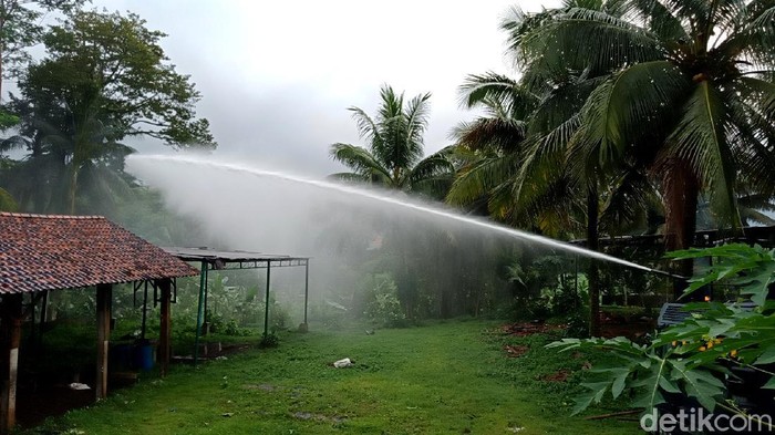 Pestisida hingga Water Canon Halau Serangan Semut di Banyumas BPBDKabupaten Banyumas bersama pihak kepolisian melakukan penyemprotan pestisida ke rumah rumah warga yang terdampak serangan semut di Banyumas, Jawa Tengah.
