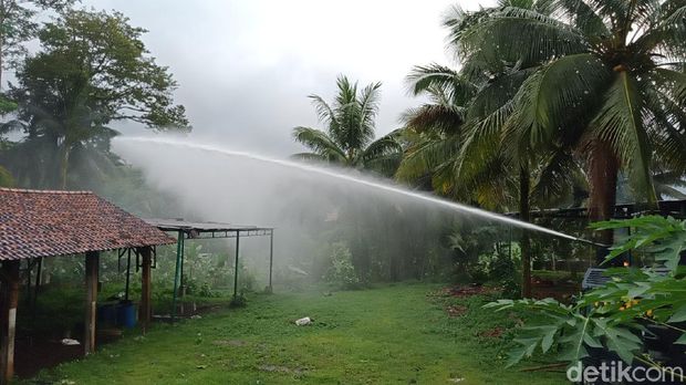 Petugas mengerahkan water cannon untuk meredam teror semut di Desa Pageraji, Banyumas