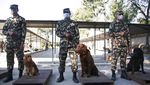 Potret Festival Anjing Kukur Tihar di Nepal