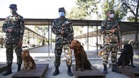 Umat Hindu memandang anjing sebagai pembawa pesan dari Yamraj, Dewa Kematian. Dengan membuat para anjing bahagia, mereka akan bisa menenangkan Dewa Kematian.