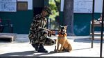 Potret Festival Anjing Kukur Tihar di Nepal