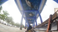 Wisatawan berfoto dengan latar dinding dan lantai jembatan yang dilukis dengan tema ragam biota laut di Skywalk Pantai Barat Pangandaran. 