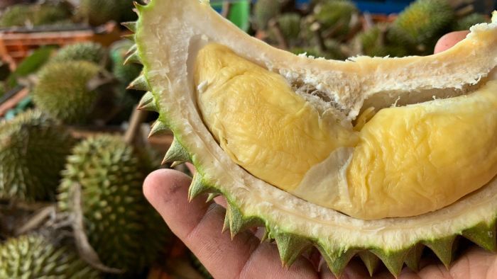 'Baunya Sudah Tercium': Australia Memasuki Musim Durian