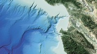 Cacing ini ditemukan di Monterey Canyon, California, Amerika Serikat tahun 2007. (Karen Osborn/MBARI)