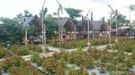 Desa Wisata Nangkula Park Tulungagung yang Lagi Hits