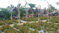 Nangkula Park dilengkapi sejumlah spot menarik, mulai dari taman bunga Celosia, balon udara, keris raksasa hingga wisata kuliner.