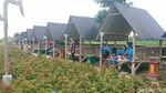 Desa Wisata Nangkula Park Tulungagung yang Lagi Hits